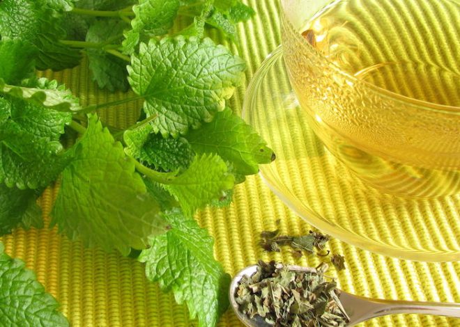 Lemon Balm Recipe for Weight Loss: A Natural and Refreshing Way to Shed Pounds