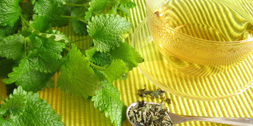 Lemon Balm Recipe for Weight Loss: A Natural and Refreshing Way to Shed Pounds